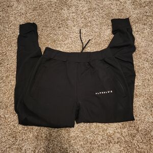 Mens alphalete joggers